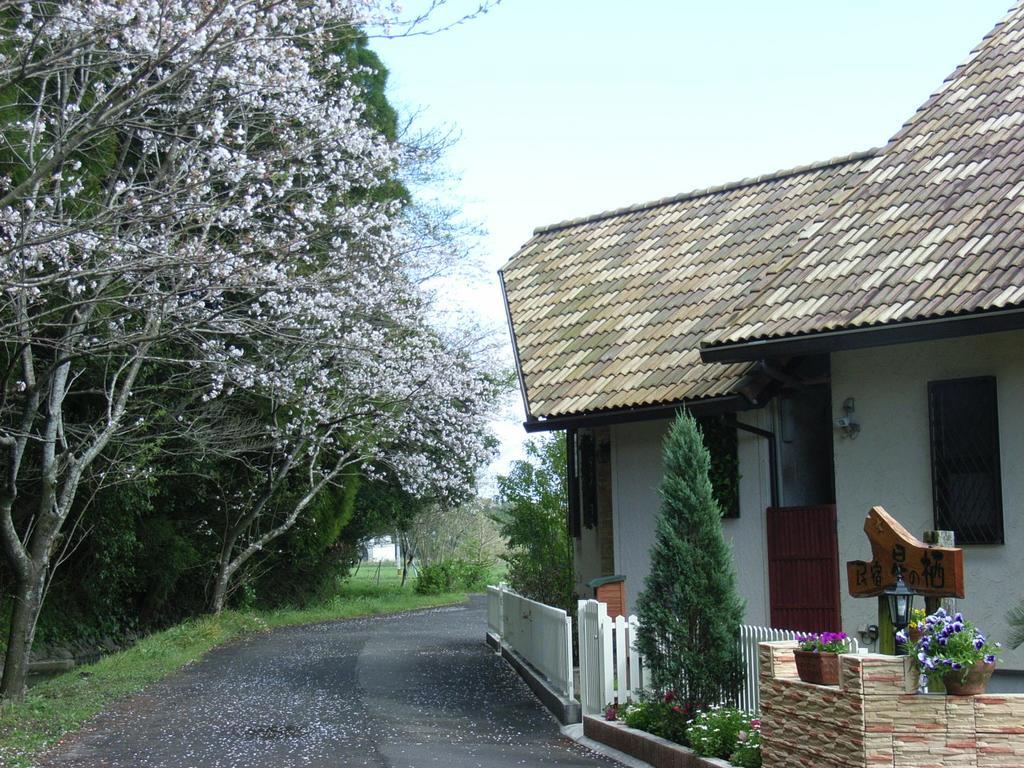 Minshuku Hoshi No Sumika Hotell Shibushi Eksteriør bilde